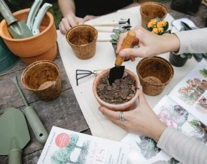 IWA Modena Gardening Interest Group pexels-gary-barnes