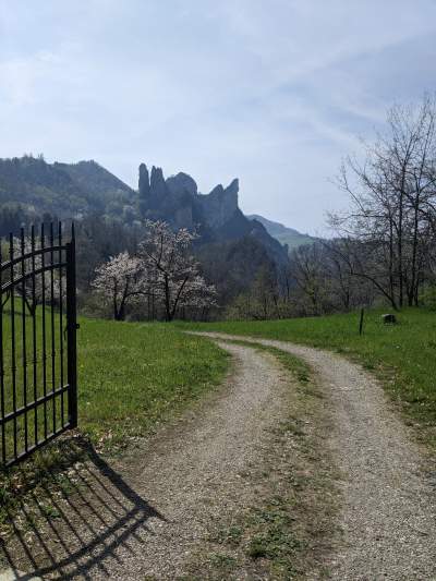 Sassi Roccamalatina Roccamalatina: the IWA Modena goes hiking