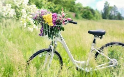 IWAM Biking Group