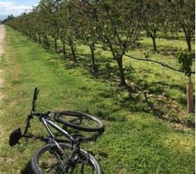 IWAM Biking Group Updates 2023
